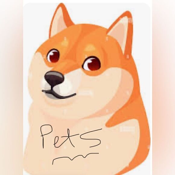 Other - Leashes, Harnesses and clothing 